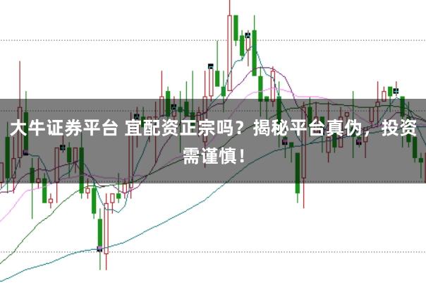 大牛证券平台 宜配资正宗吗？揭秘平台真伪，投资需谨慎！