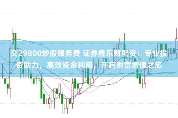 交29800炒股服务费 证券鑫东财配资：专业投资助力，高效资金利用，开启财富增值之旅